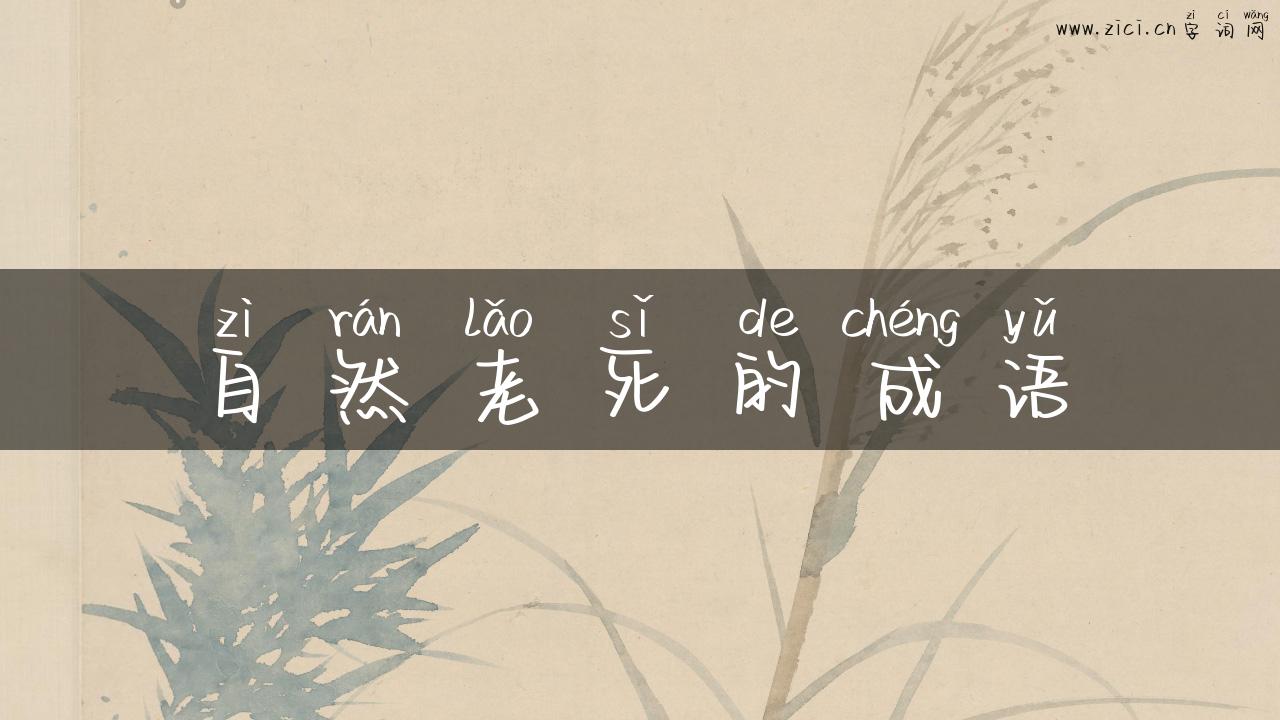 自然老死的成语