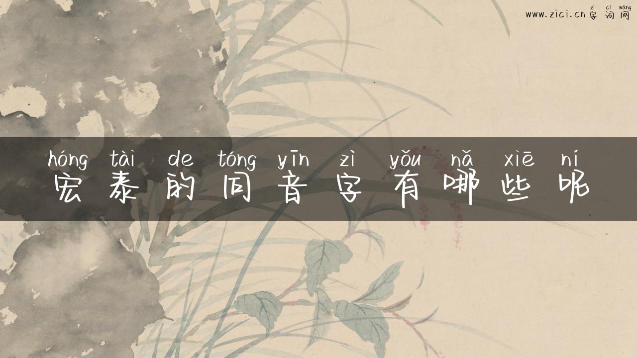 宏泰的同音字有哪些呢