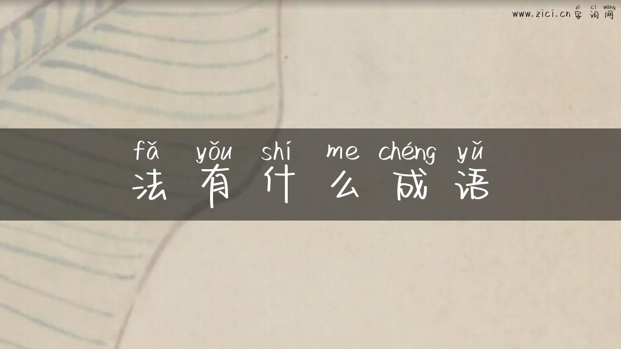 法有什么成语