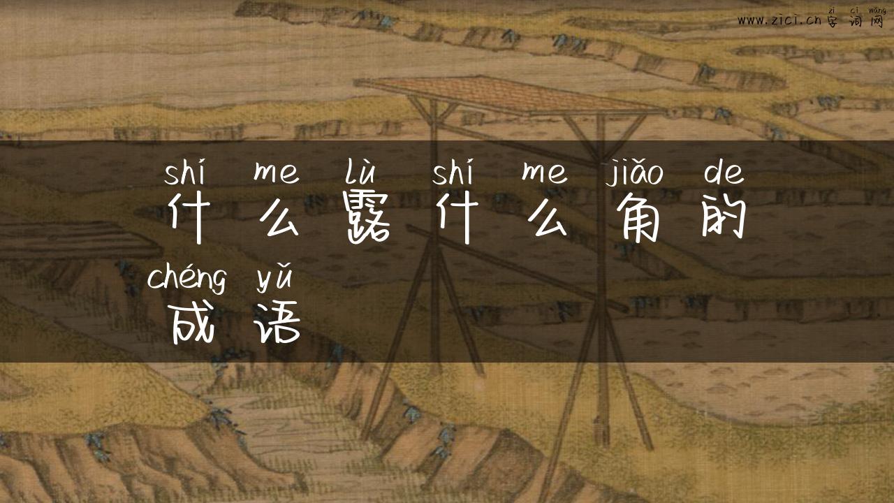 什么露什么角的成语