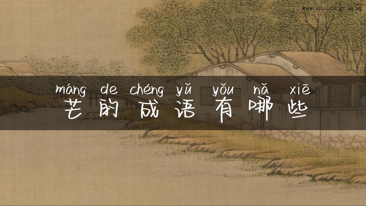 芒的成语有哪些