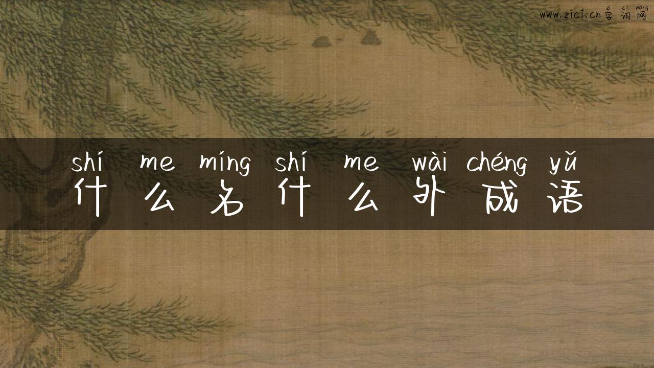 什么名什么外成语