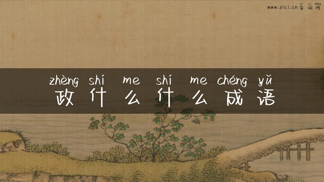 政什么什么成语