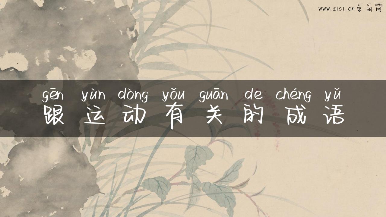 跟运动有关的成语