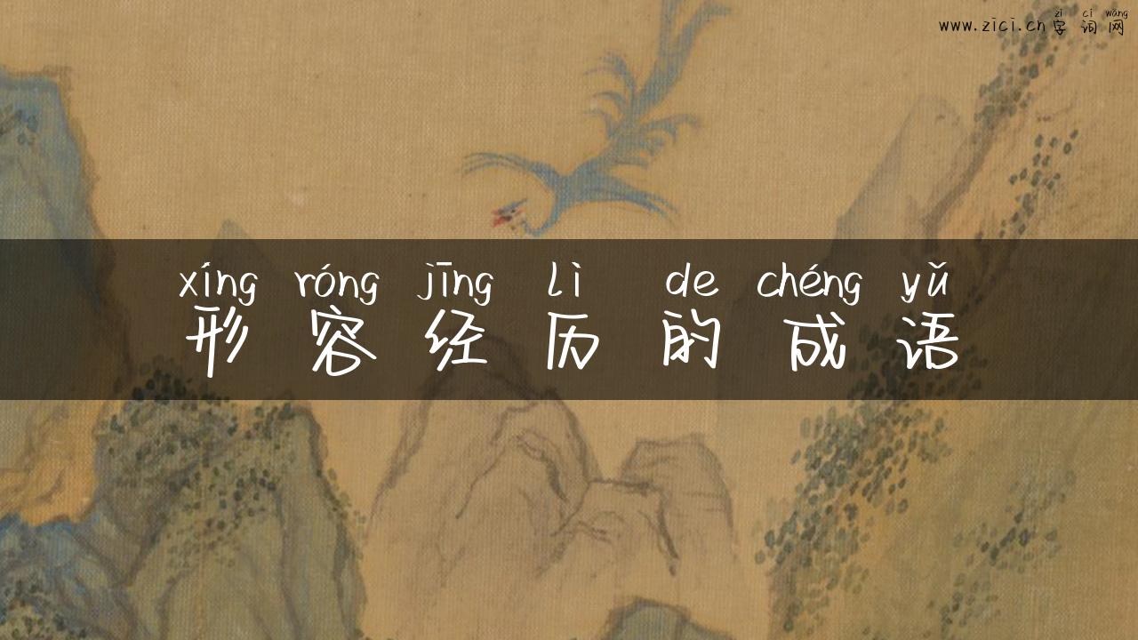 形容经历的成语