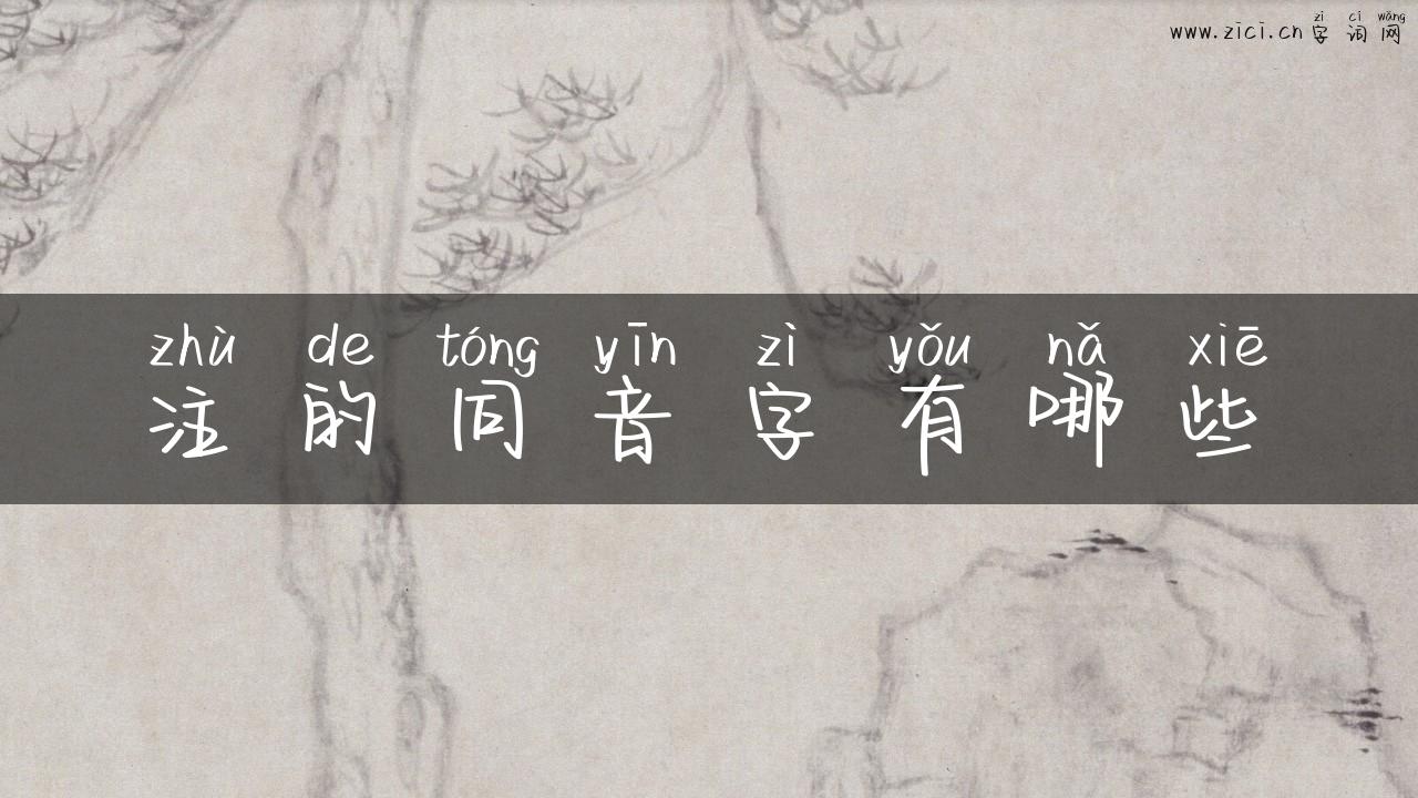 注的同音字有哪些