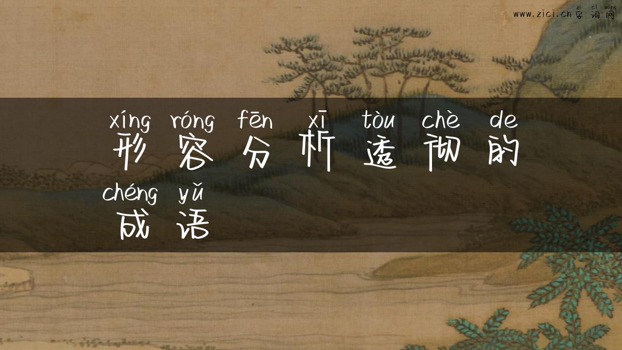 形容分析透彻的成语