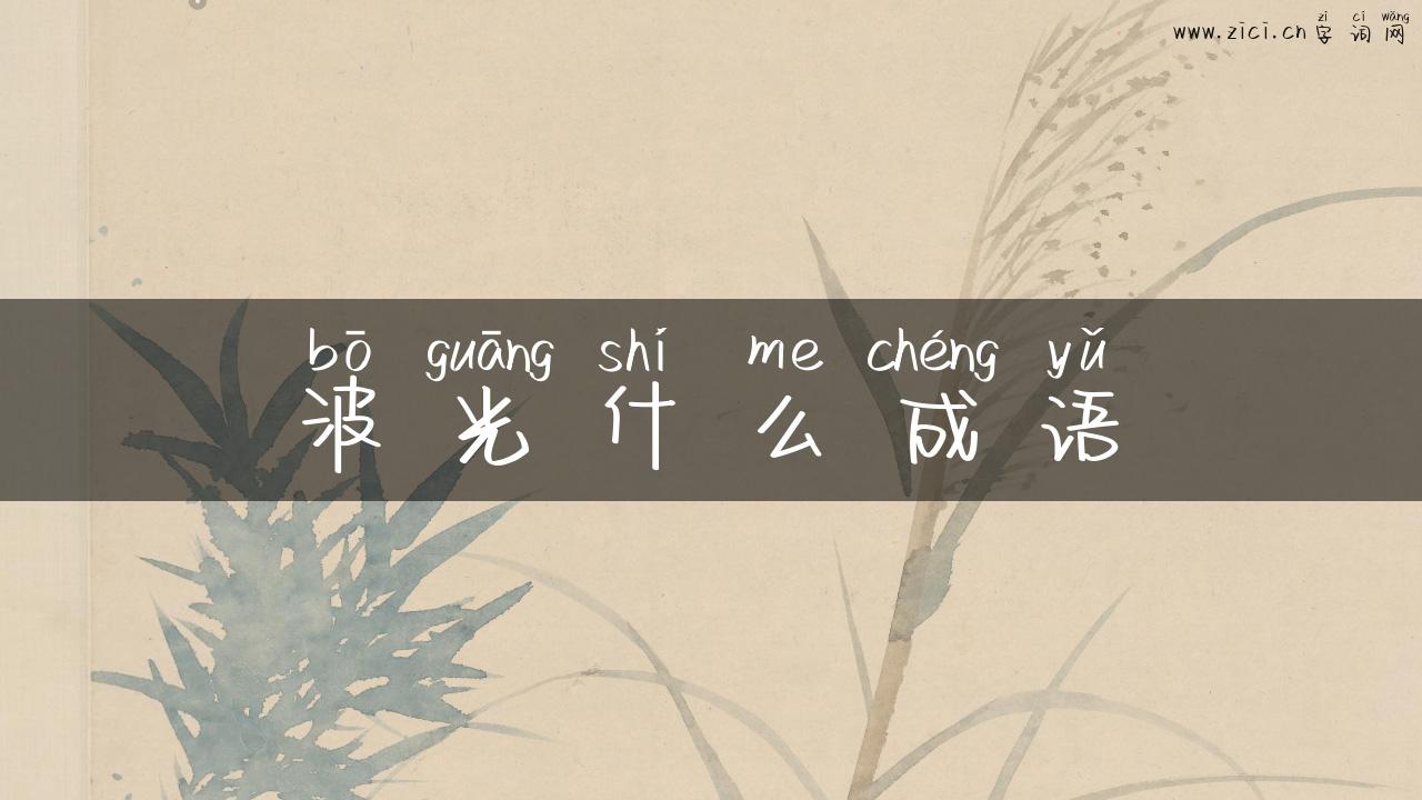 波光什么成语