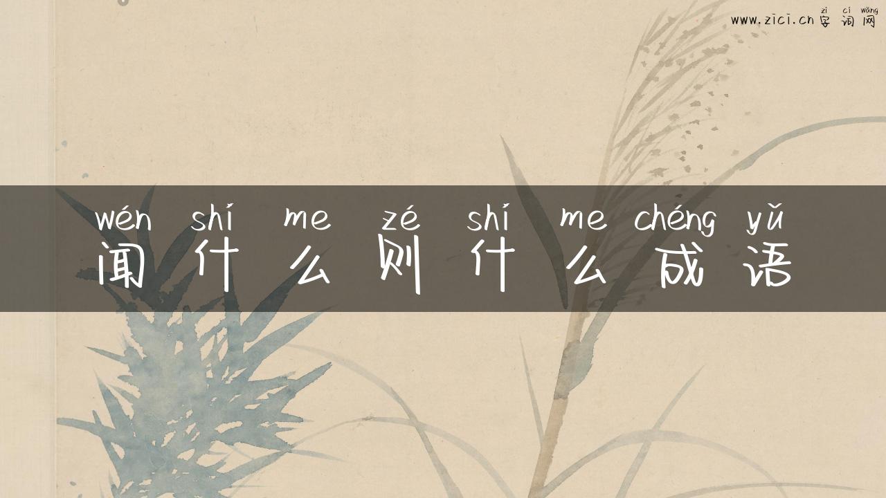 闻什么则什么成语