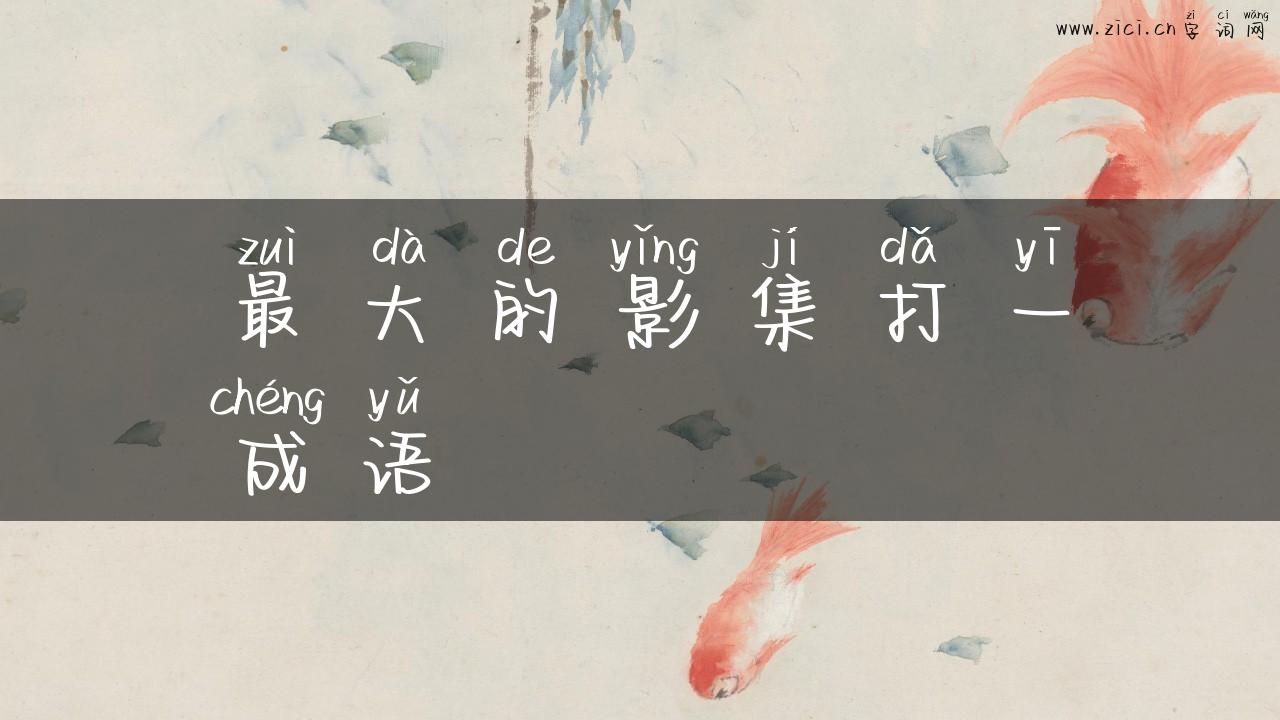 最大的影集打一成语