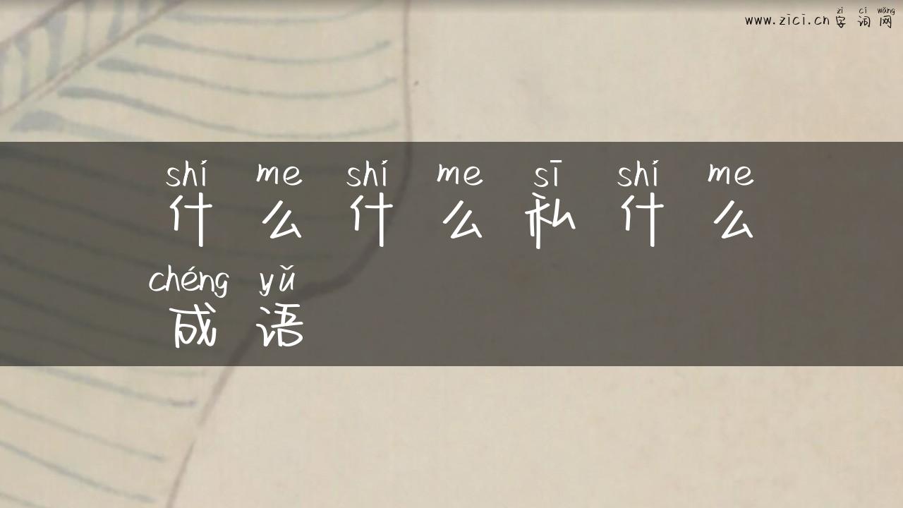 什么什么私什么成语