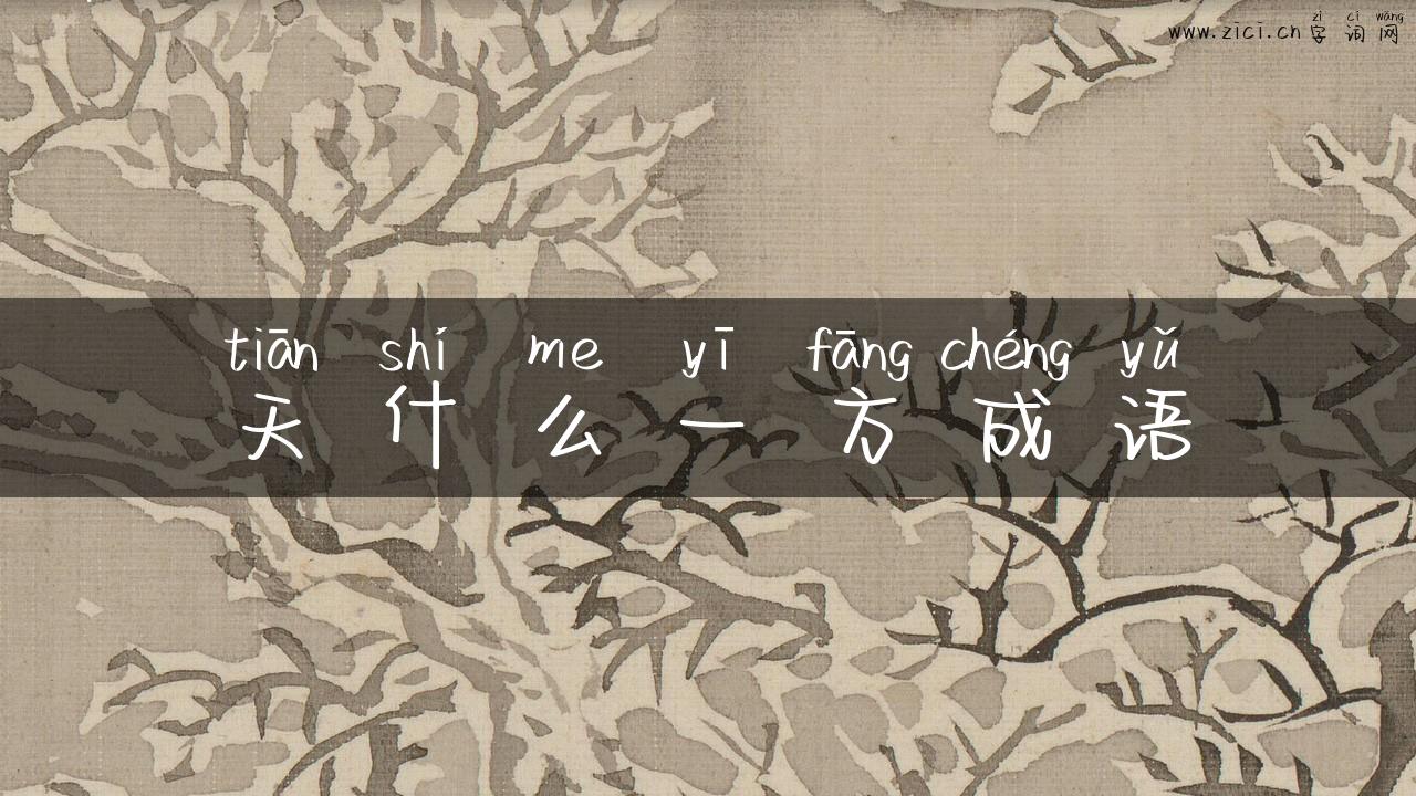 天什么一方成语
