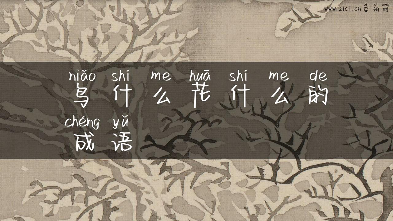 鸟什么花什么的成语