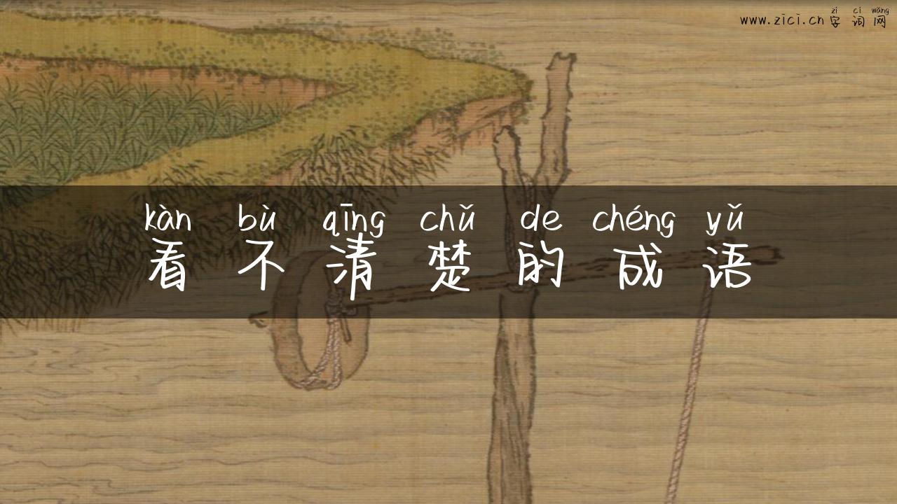 看不清楚的成语