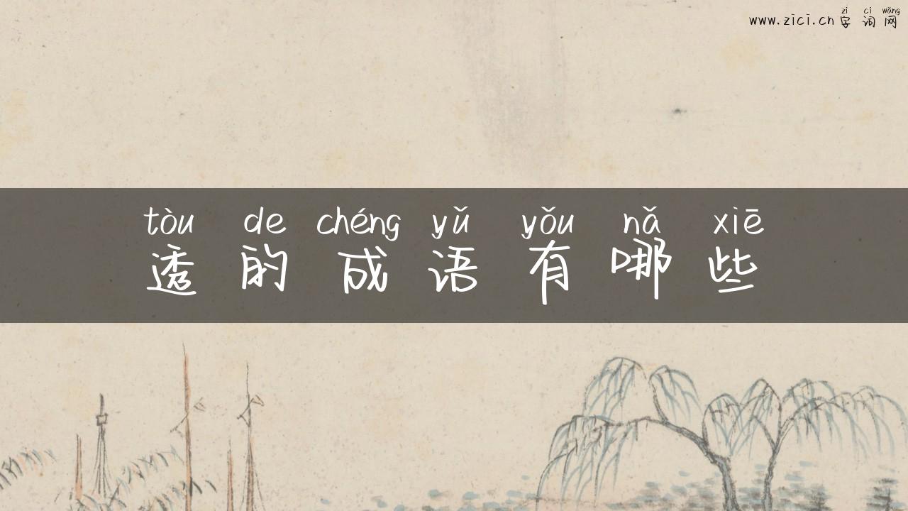 透的成语有哪些