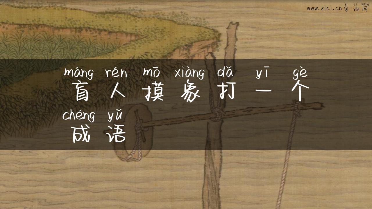 盲人摸象打一个成语