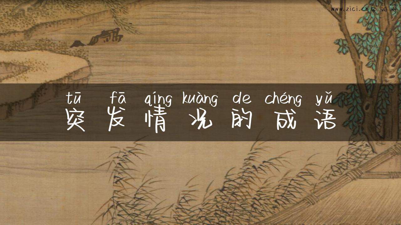 突发情况的成语