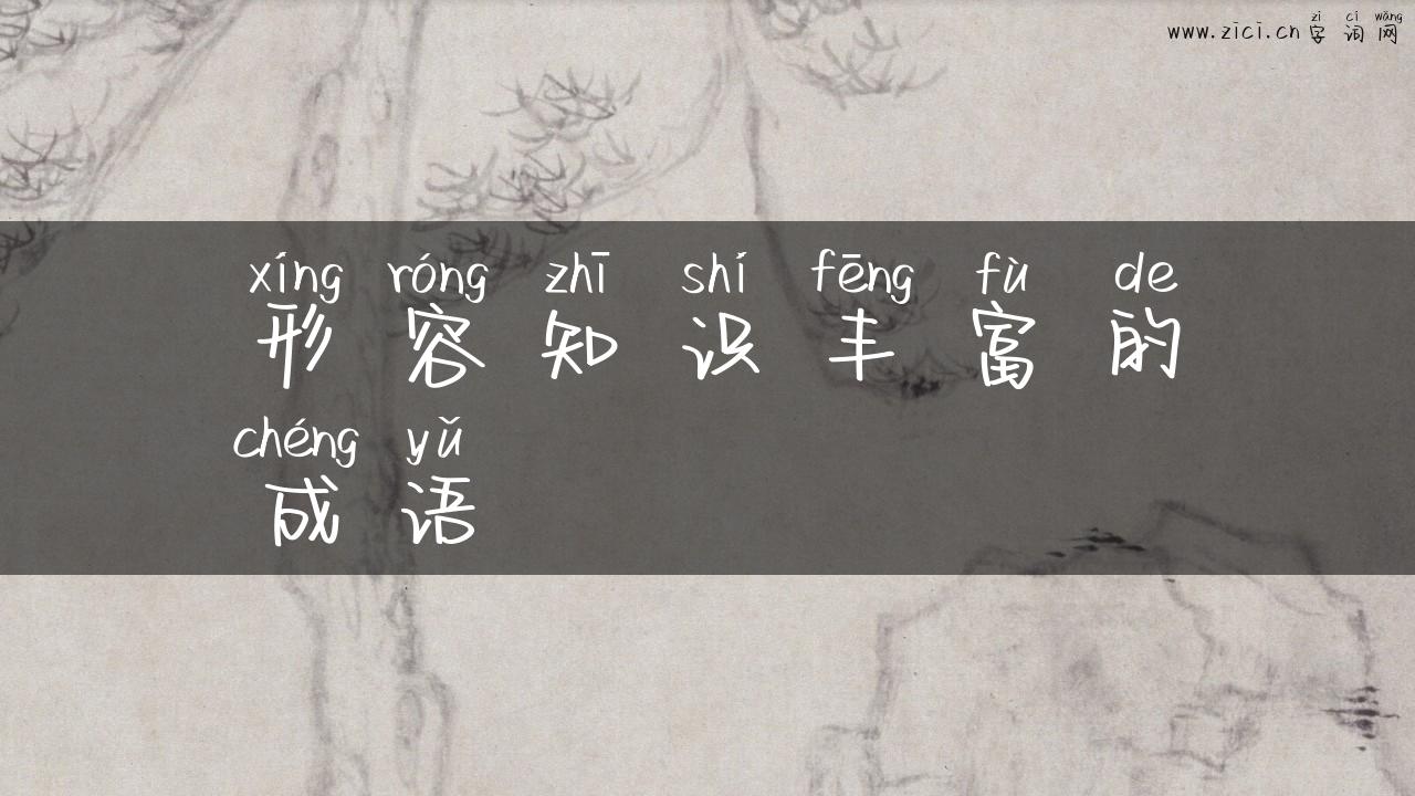 形容知识丰富的成语