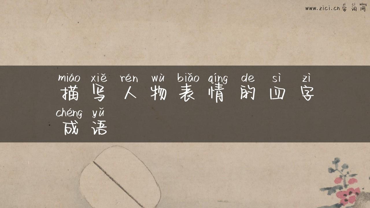 描写人物表情的四字成语