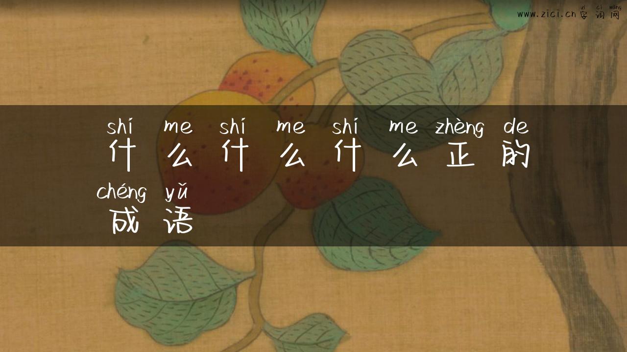 什么什么什么正的成语
