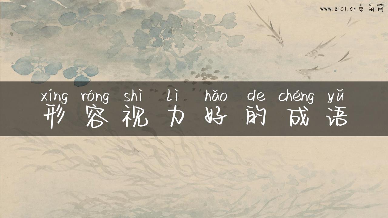 形容视力好的成语