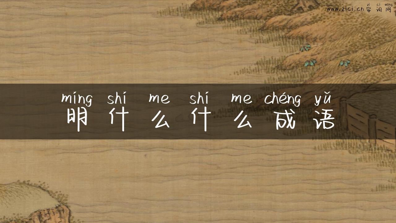 明什么什么成语