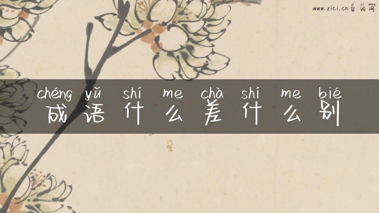 成语什么差什么别