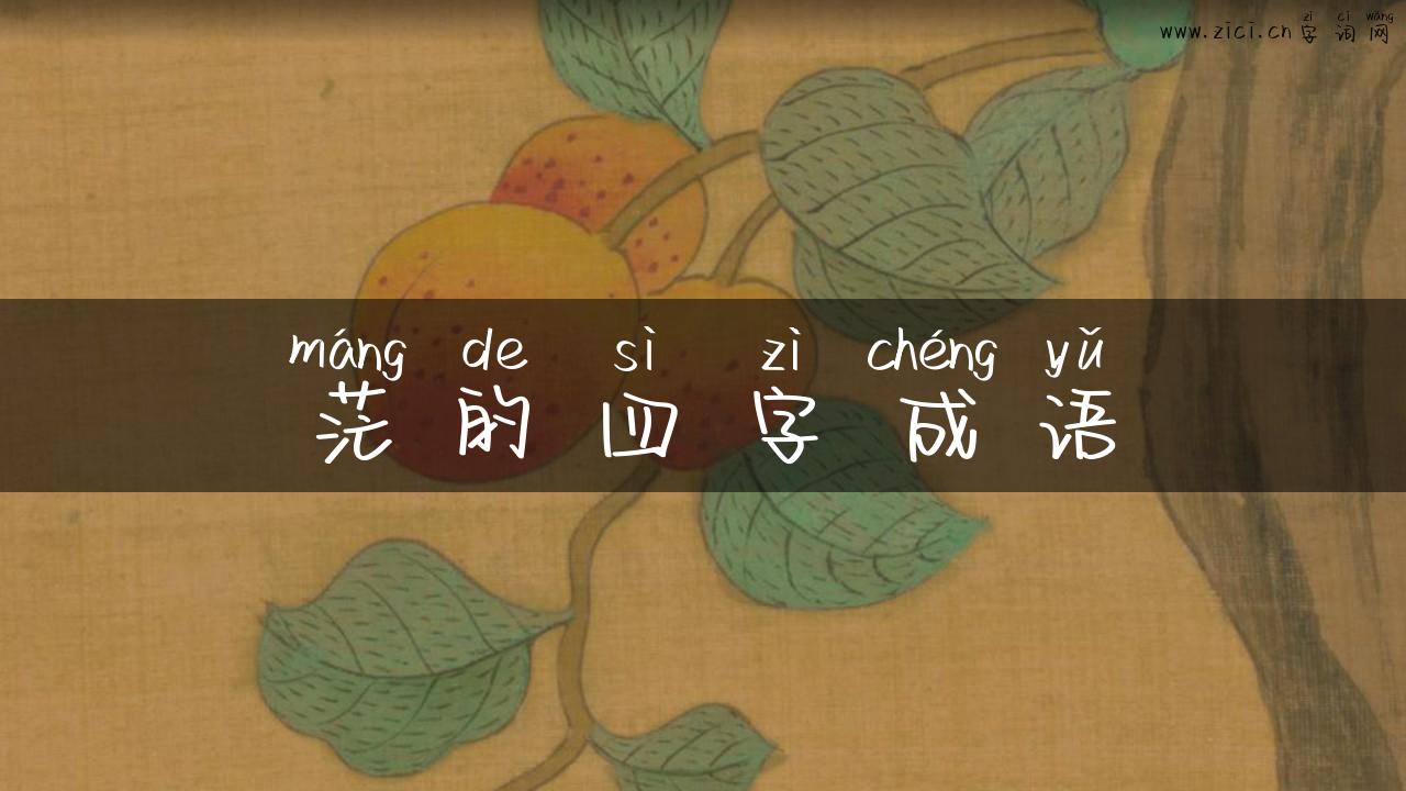 茫的四字成语