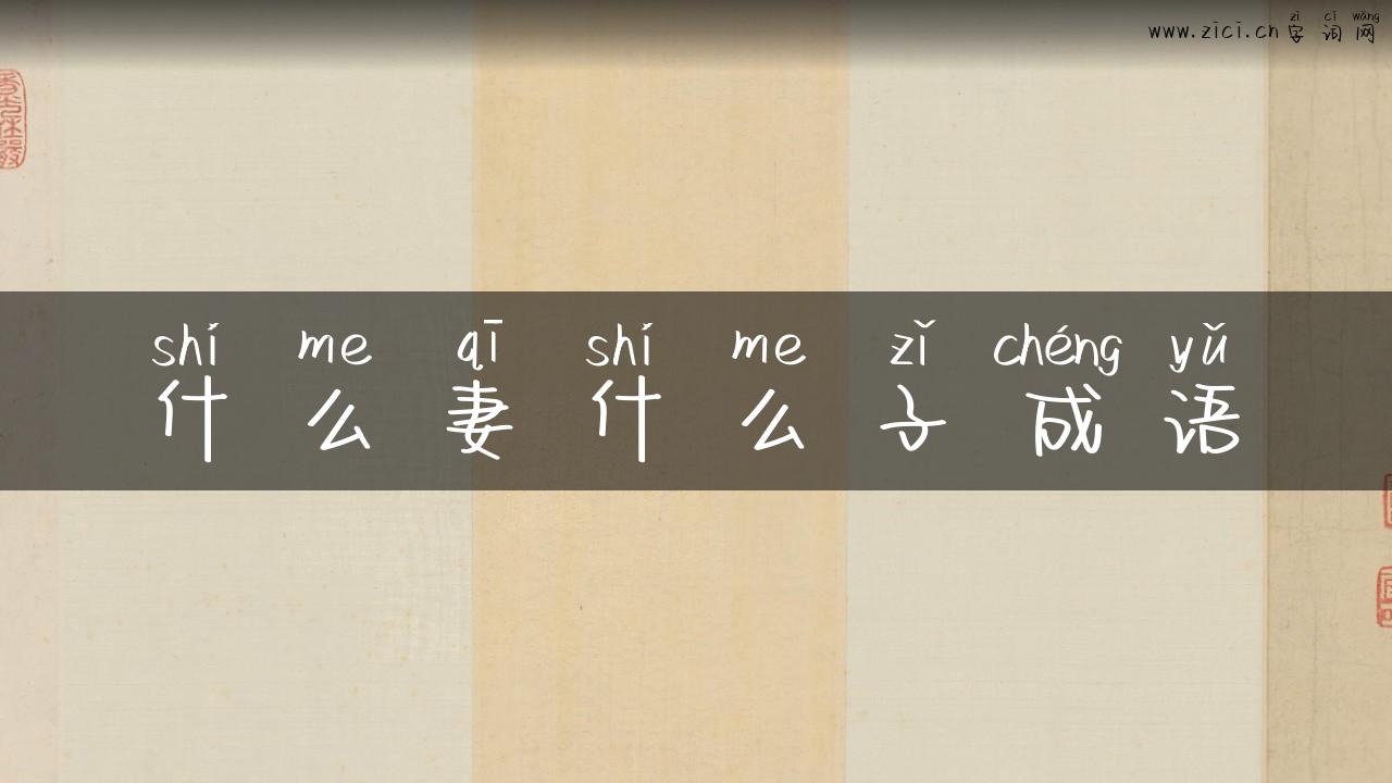 什么妻什么子成语