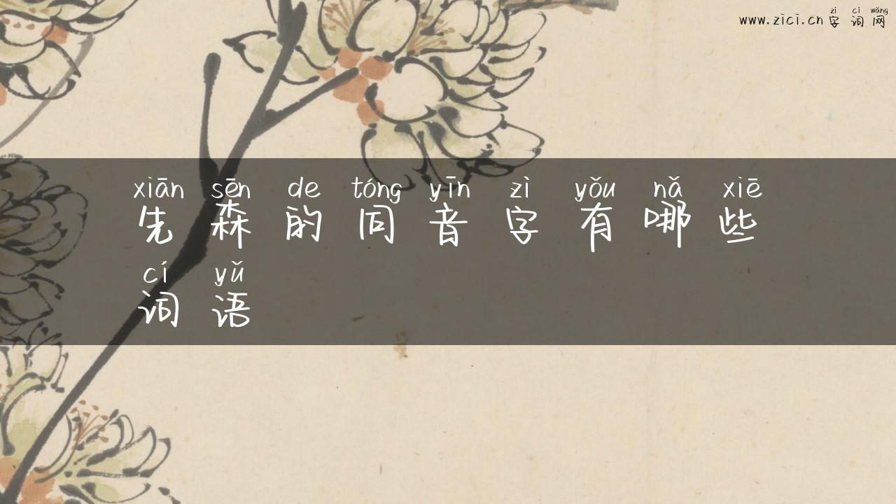 先森的同音字有哪些词语