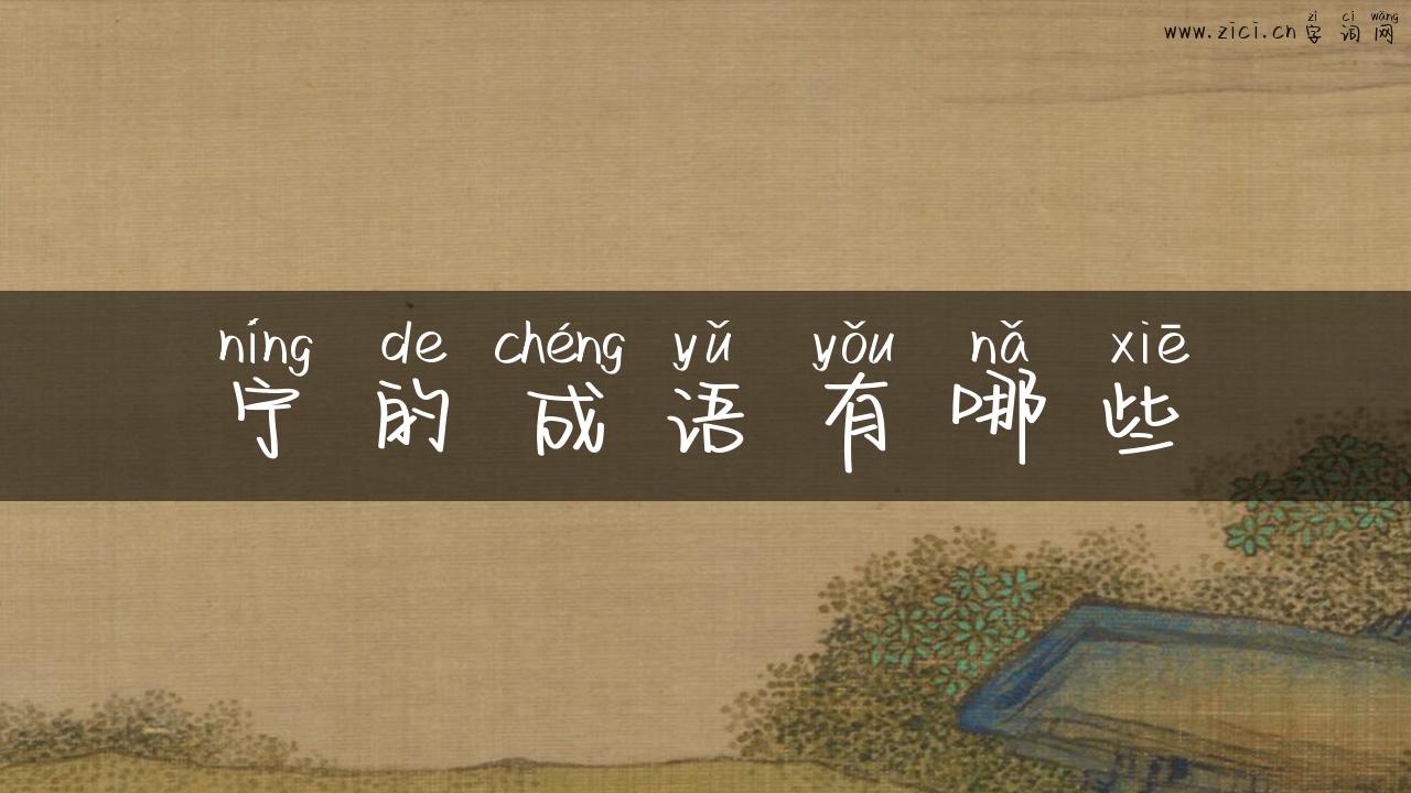 宁的成语有哪些