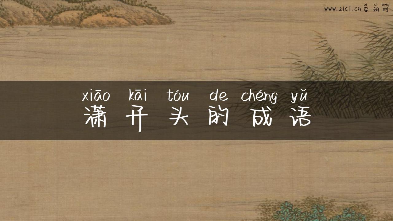 潇开头的成语