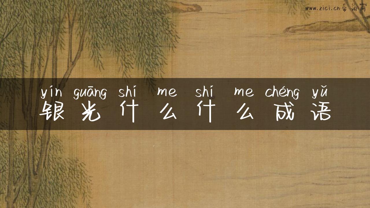 银光什么什么成语