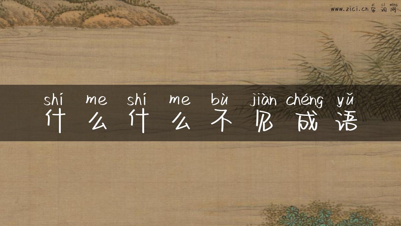 什么什么不见成语