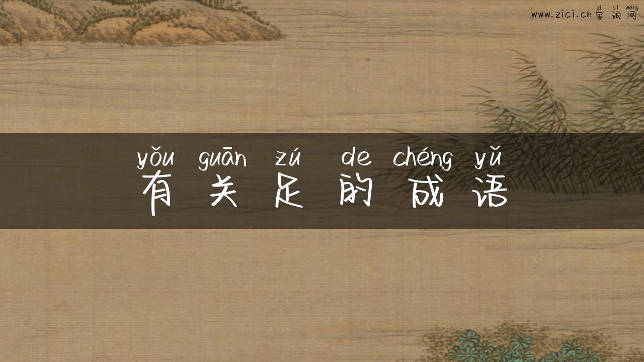 有关足的成语