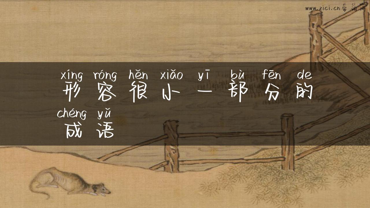 形容很小一部分的成语