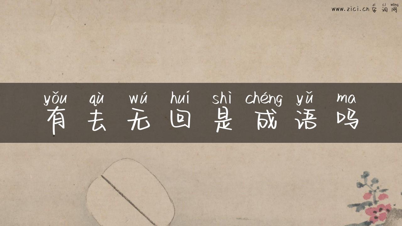 有去无回是成语吗