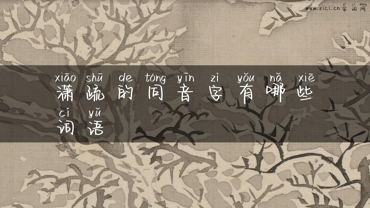 潇疏的同音字有哪些词语