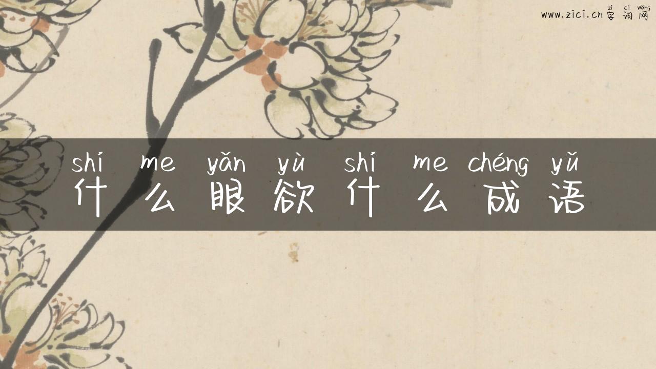什么眼欲什么成语