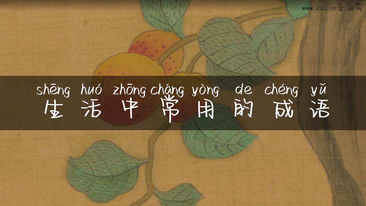 生活中常用的成语