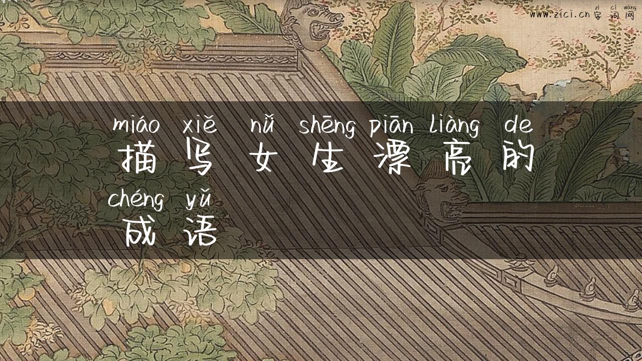 描写女生漂亮的成语