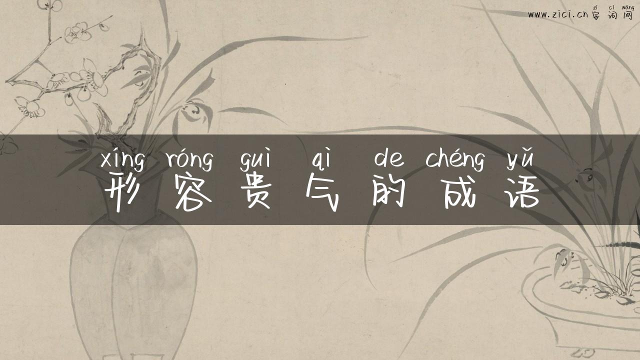 形容贵气的成语