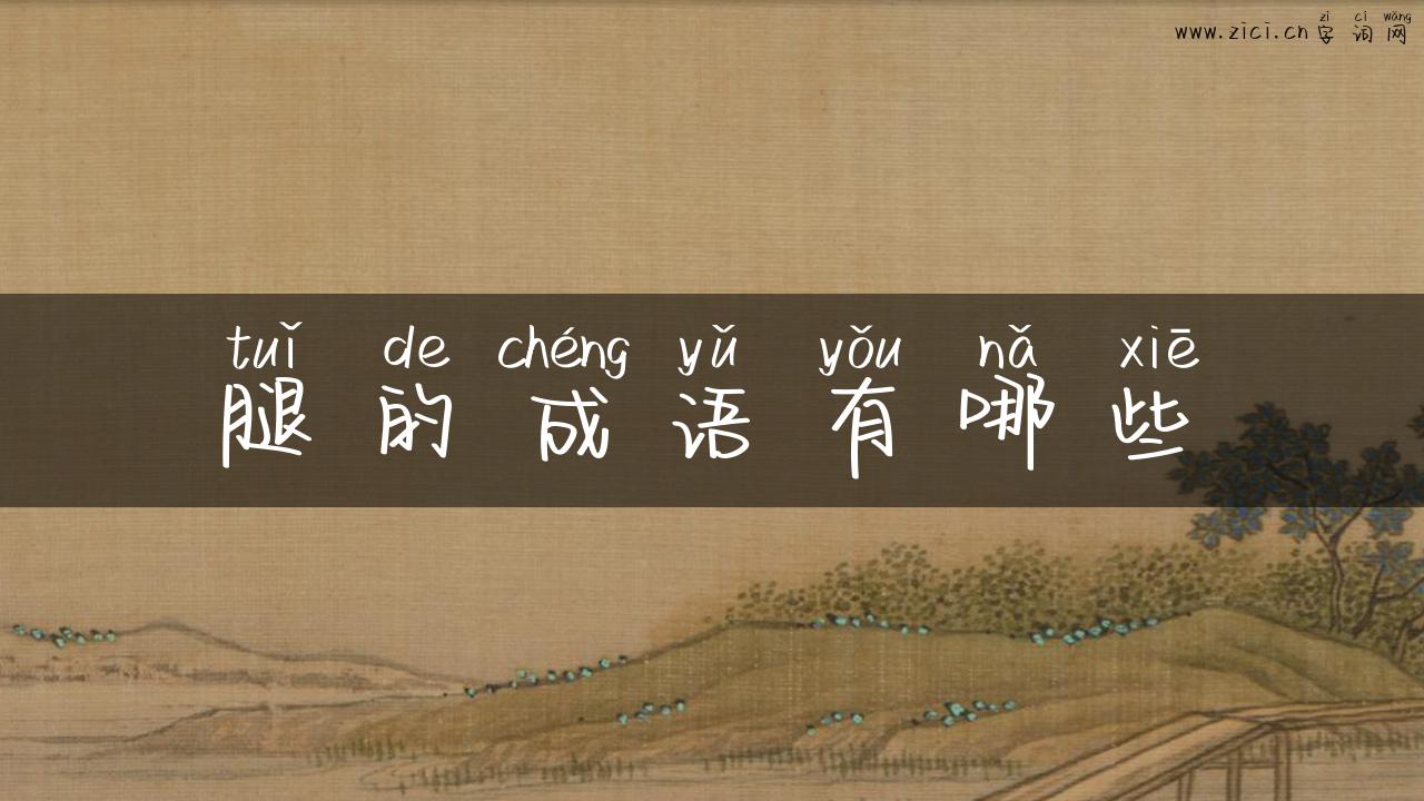 腿的成语有哪些