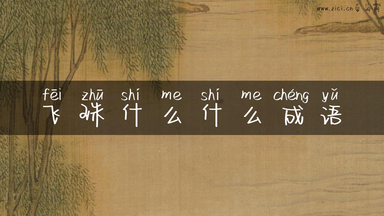 飞珠什么什么成语