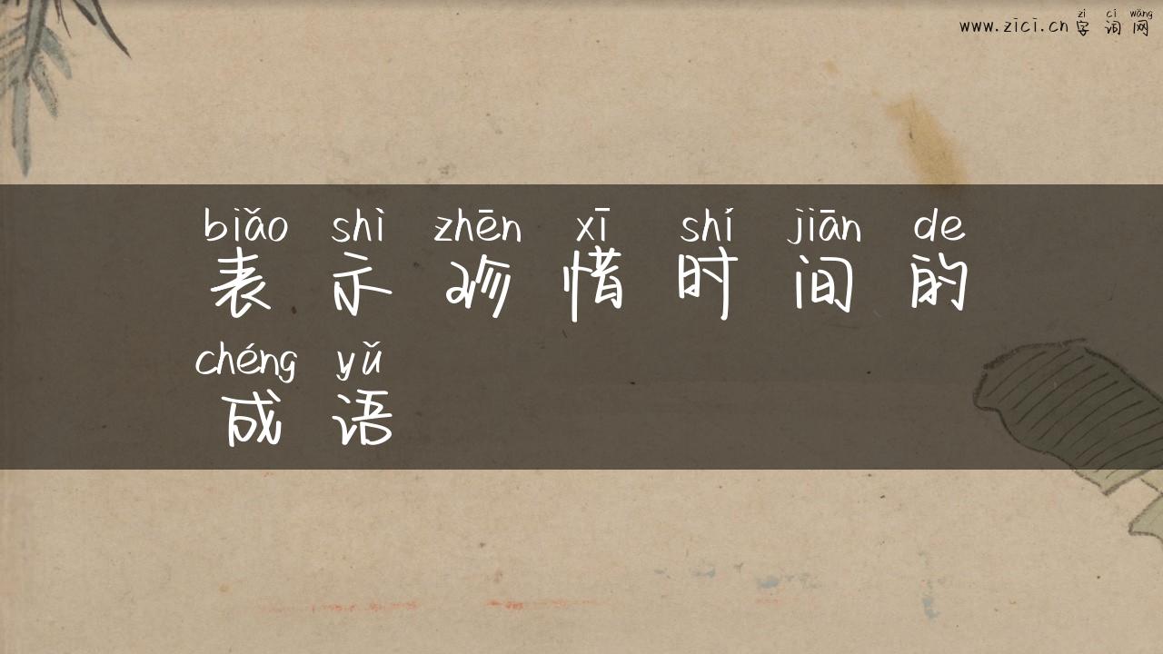 表示珍惜时间的成语