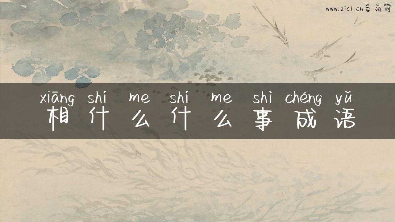 相什么什么事成语