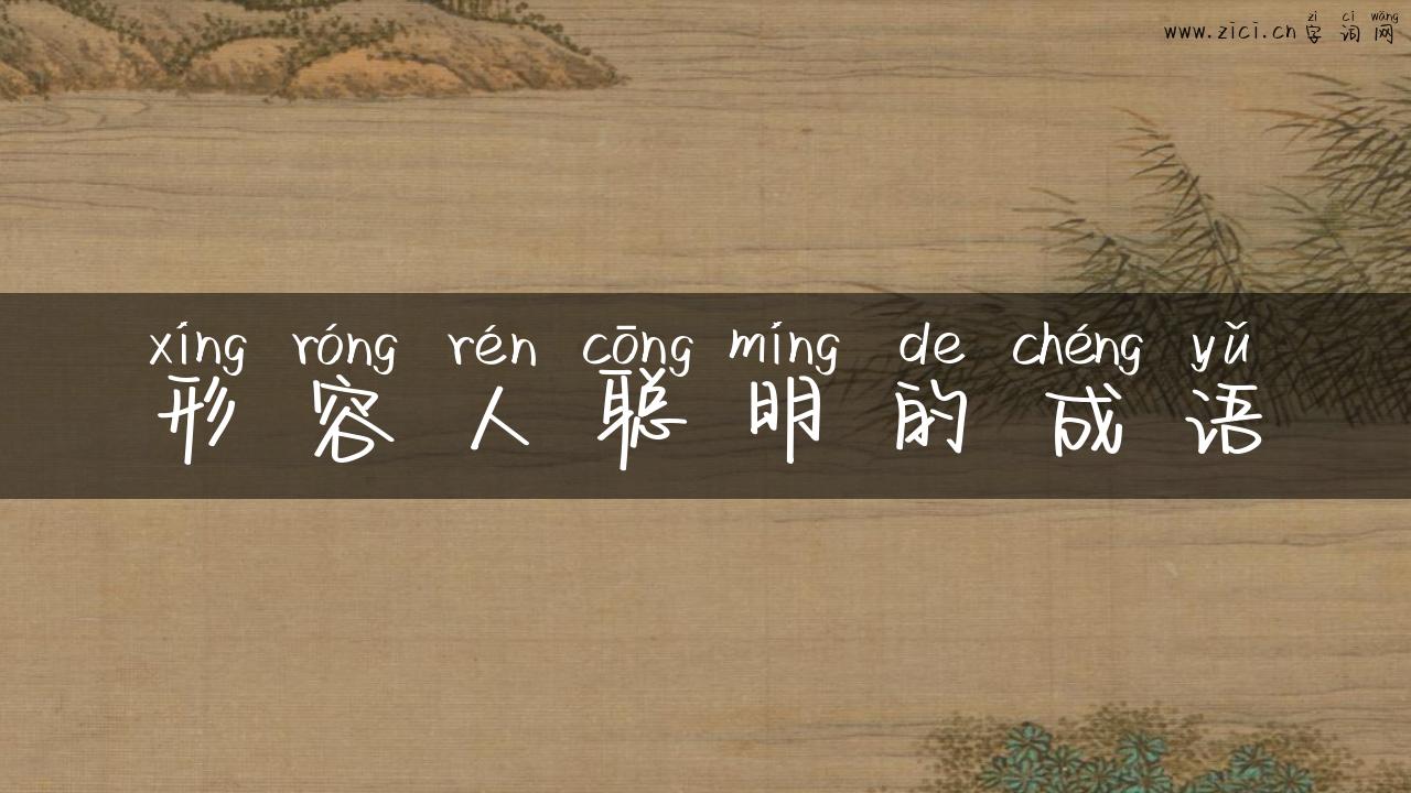 形容人聪明的成语