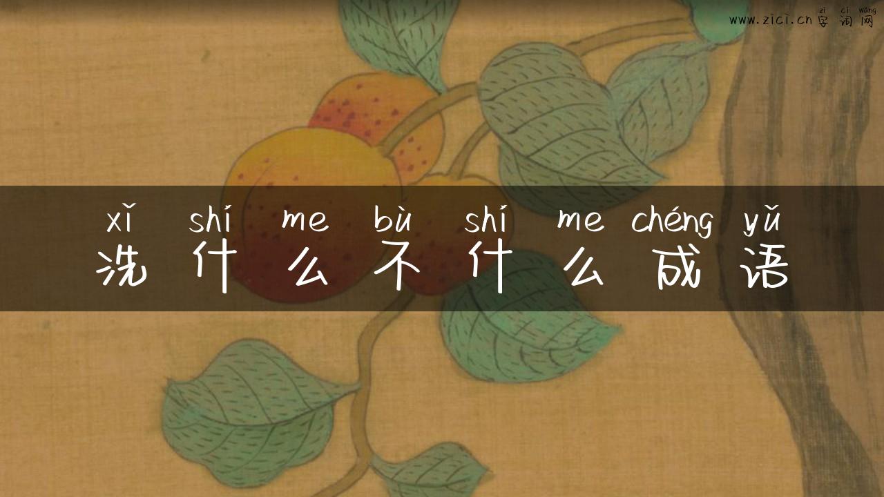 洗什么不什么成语