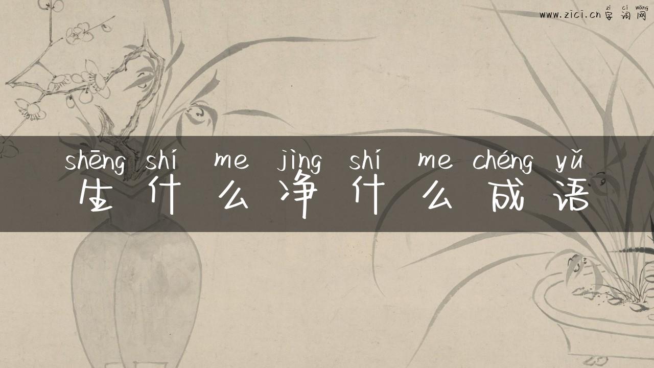 生什么净什么成语