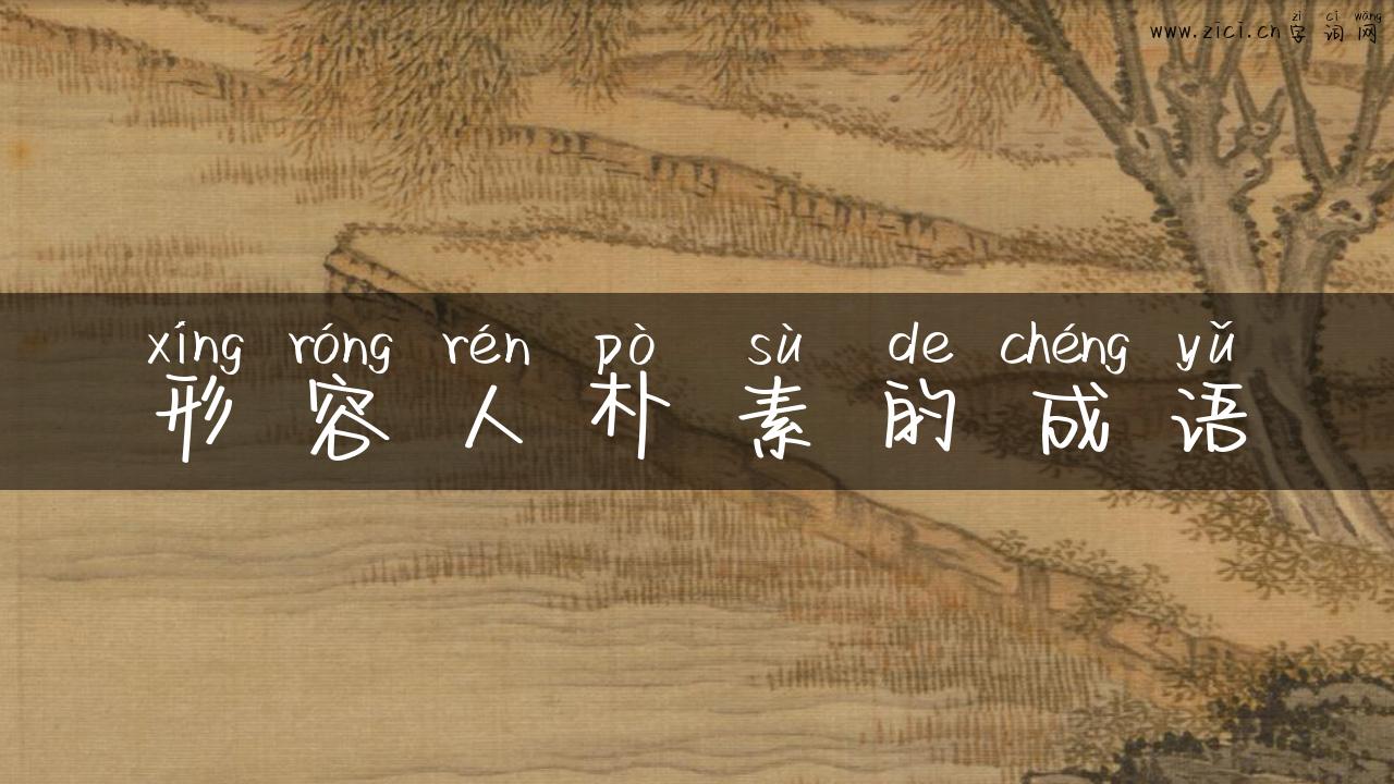 形容人朴素的成语